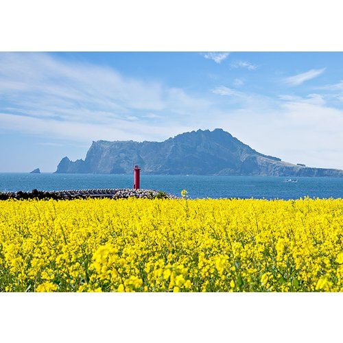 https://media.eoding.com/media/travelagent/663/imagecontent/제주사진.png