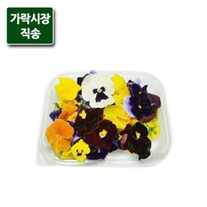 팸쿡 가락시장직송 팬지 30송이(식용)