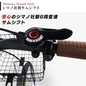 20 P-008 15 S SHIMANO 6 접이식 자전거 접이식 자전거 인치 색 자 프레임 단 변속 바구니