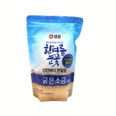 신안바다 천일염 한여름눈꽃 굵은소금/500g