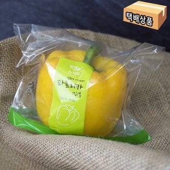 SSG Fresh 파프리카 노랑/특/1입/150g이상(봉)