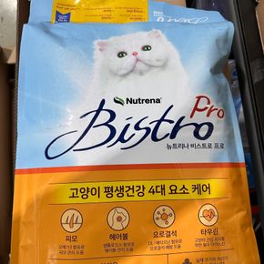 비스트로 Pro 고양이 사료 6kg 300gx20봉