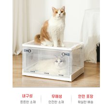 강아지 산소방 고양이 산소방 애견 반려견 반려묘