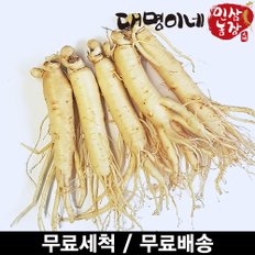 (세척)원삼소 5뿌리내외 250g/인삼 수삼 주스용 홍삼용 삼계탕용