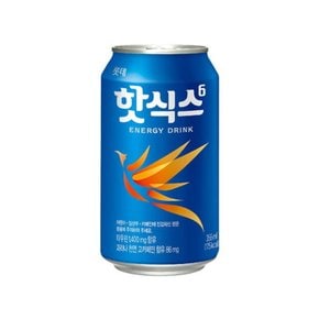 핫식스 355ml 24입