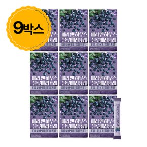 베리앤하우스 블루베리 9박스