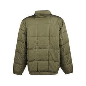 Down Jacket DICKIES Coats Green Green DK0A4XYZMGR1