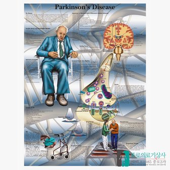 종로의료기 3B Scientific 파킨슨병의 이해 인체해부차트 VR1629 Parkinson 병원액자