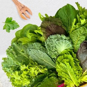 [프리팜] GAP인증 멋진농부 샐러드 쌈채소 1kg