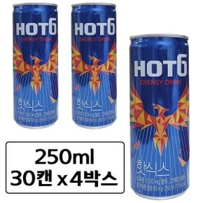 HOT6 핫식스 오리지널 250ml x 120캔 고카페인 에너지 드링크 타우린 음료수 졸음방지 탄산 음료