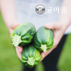 국내산 가정용 애호박 10개
