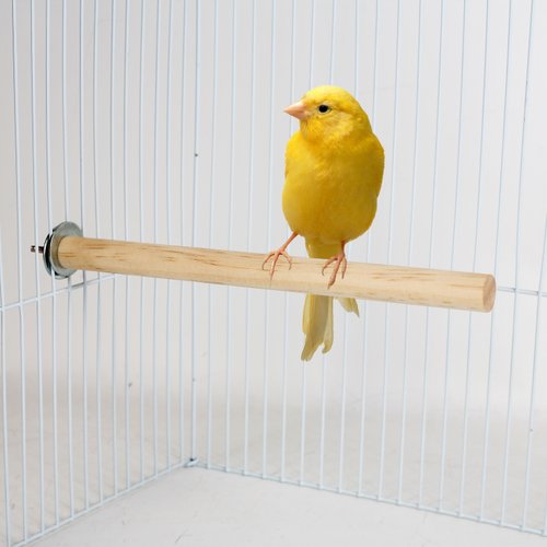 상품이미지2