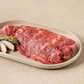 [냉장/미국산] 프라임 살치살 구이용 (400g)