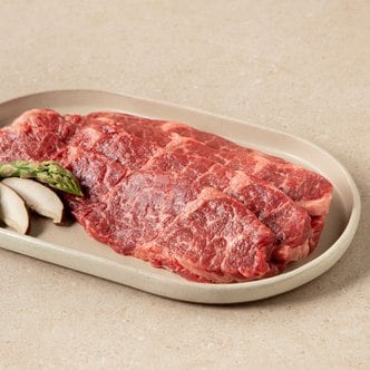  [냉장/미국산] 프라임 살치살 구이용 (400g)