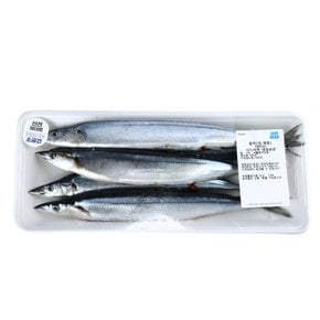 [해동][대만] 꽁치 (대, 마리)