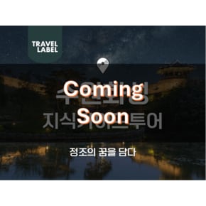 [경기/수원][야경] 수원화성 가이드 해설 야경 투어