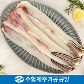 [제주수협] 제주 손질 바다장어 500gx2팩 / 바다장어1kg(6~12미 내외)