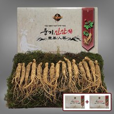 5년근 수삼 500g (15-17뿌리) x 2박스