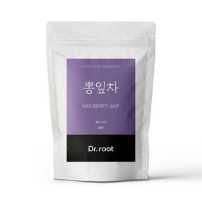 숙성뽕잎 삼각티백 100T