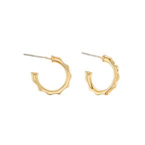 ATJ-30097_EARRING