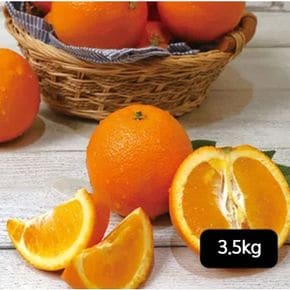 열매나무 캘리포니아 네이블 고당도 오렌지 3.5kg[34125737]