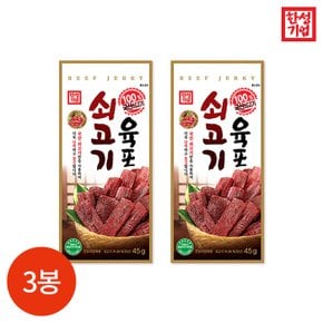 한성기업 쇠고기육포 45g x 3봉