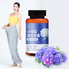 수국잎 열수 추출물 프리미엄정 1000mg x 60정