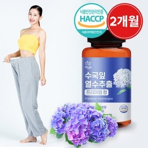 수국잎 열수 추출물 프리미엄정 1000mg x 60정