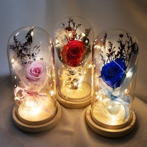 LED유리돔 파란 프리저브드 장미 무드등 꽃 플라워 무드등 조명 생일 집들이 여자 친구 특별한 선물