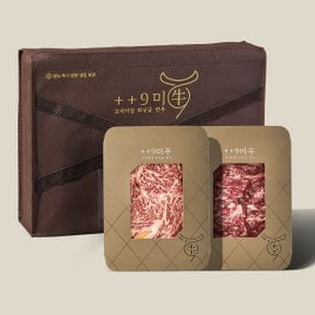 [바로배송][냉장]1++No9등급 투뿔 한우 갈비 구이 선물세트 600g (등심300g/갈비살300g)