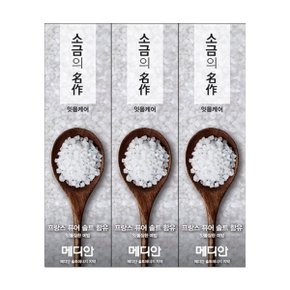 소금의 명작 치약 120g 3입