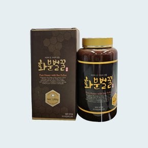 화분벌꿀