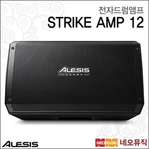 전자드럼앰프 Alesis Drum Amp STRIKE AMP 12