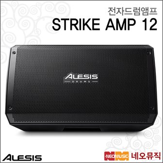 알레시스 전자드럼앰프 Alesis Drum Amp STRIKE AMP 12