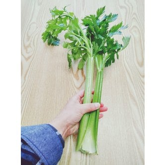 맹다혜씨네작은텃밭 샐러리 (Celery) 1포기 1kg 내외