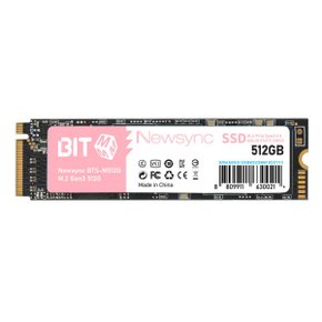 비트엠 Newsync BITS M.2 NVMe (512GB)