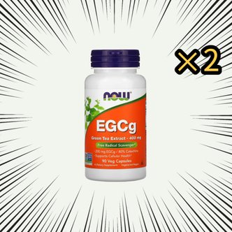 나우푸드 EGCg 녹차 추출물 400mg 90베지캡슐 2통