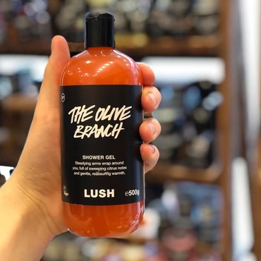 LUSH [영국무료배송] 러쉬 더 올리브 브랜치 샤워젤 550g LUSH 오렌지향