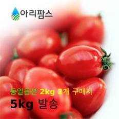  대추방울토마토 2kg ( 소과) / 2개 구매시  5kg 발송
