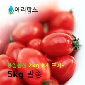 대추방울토마토 2kg ( 소과) / 2개 구매시  5kg 발송