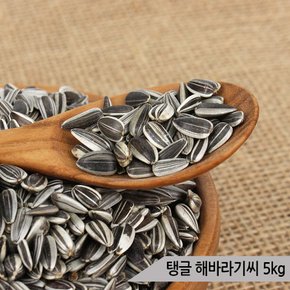 건강알곡 탱글 해바라기씨 5kg 앵무새 햄스터 소동물