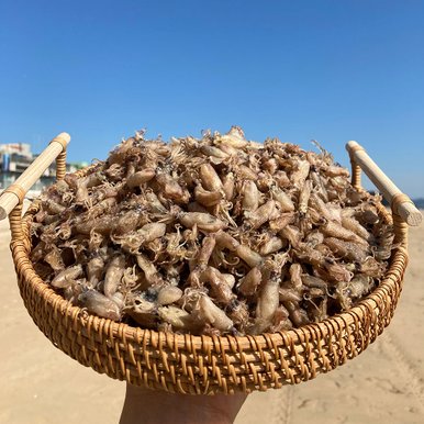 국산 꼴뚜기 500g 상급 건꼴뚜기 마른꼴뚜기 건어물