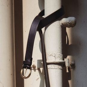 Around belt Umber with Gold buckle 로서울 벨트