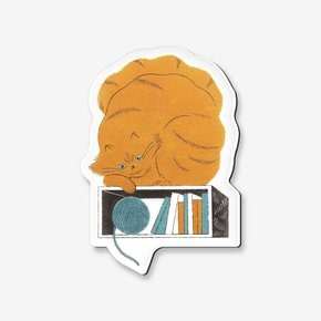 마그넷 Bookshelf cat12, 카와무