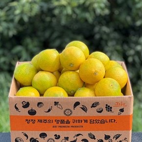 제주 황금향 가정용 1kg 대과
