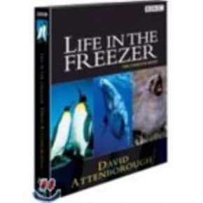 (DVD) BBC 남극의 생태계 (3Disc)