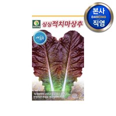 싱싱여름 적치마 상추 씨앗 3g . 채소 텃밭 재배 주말 농장 파종 씨 종자