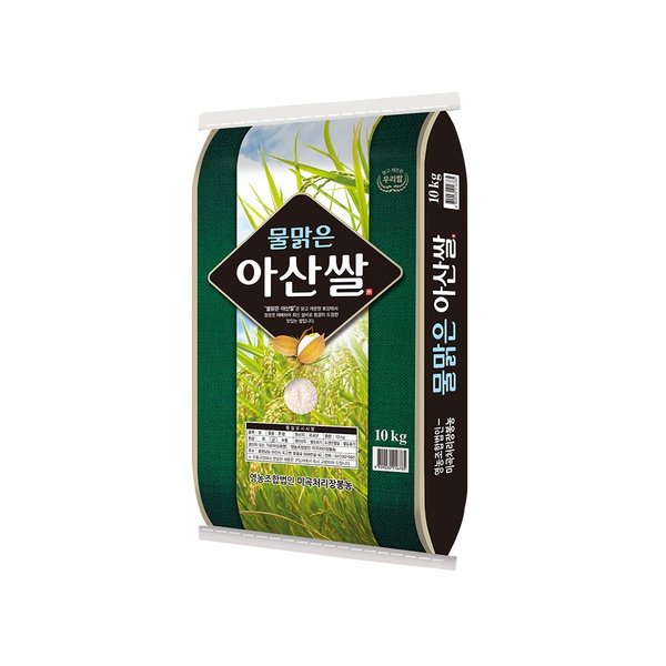 확대된 대표 이미지 P