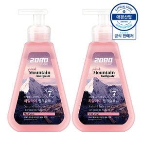 [애경] 2080 퓨어 핑크 솔트 펌핑 치약 325g x2개