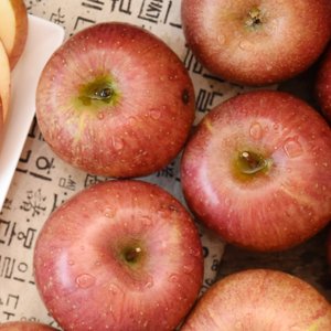 친환경팔도 [경상북도][산지직송] 과즙가득 의성 흠집 사과(중) 4kg